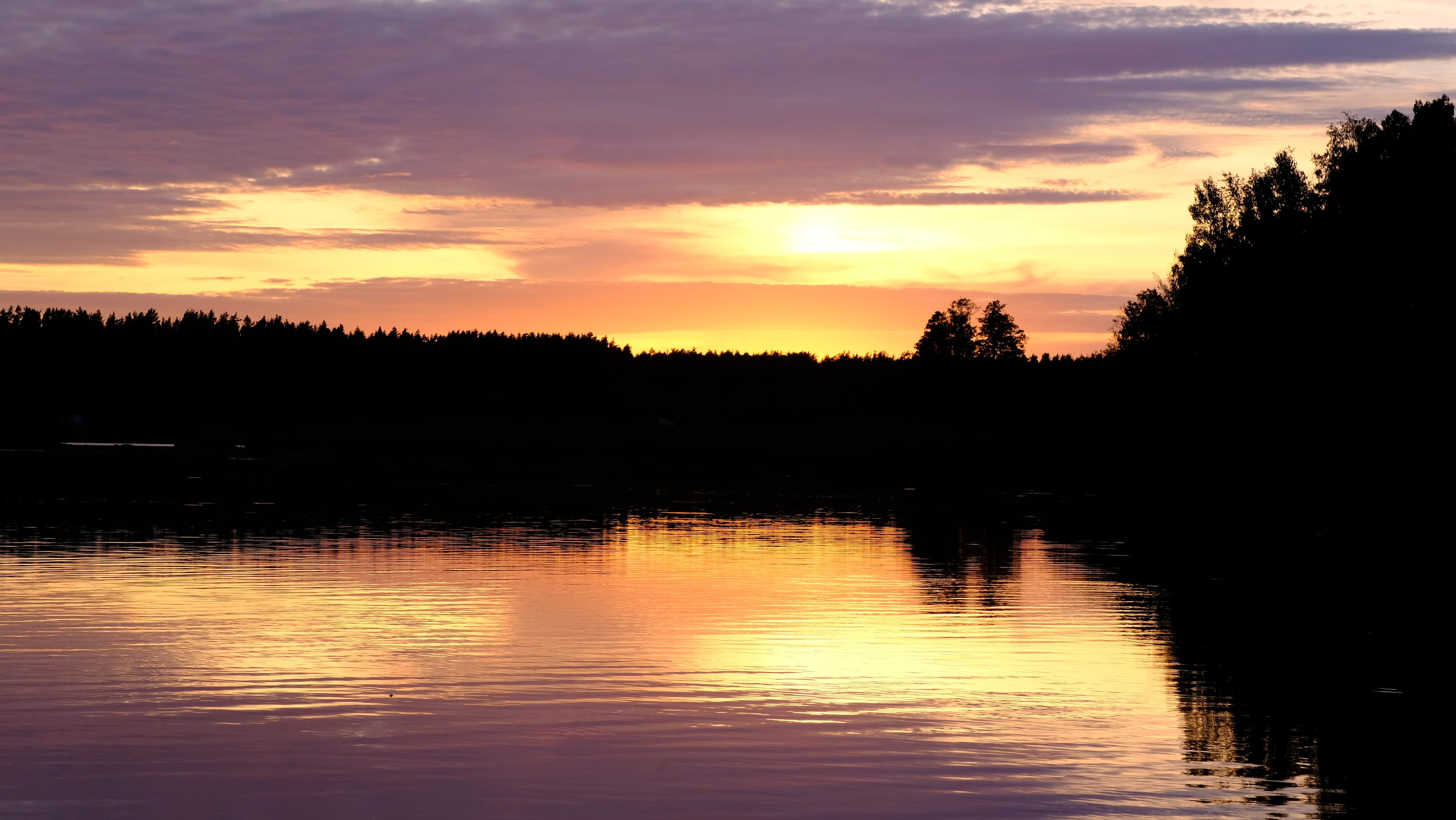 DSCF0530.JPG