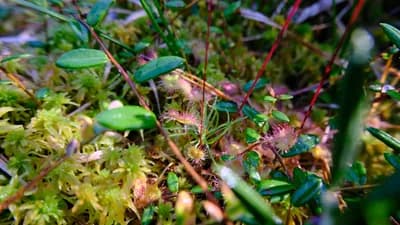 DSCF0710.JPG